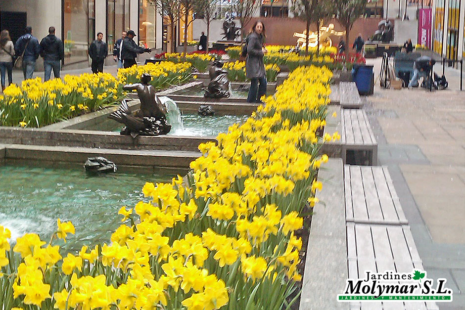 Diseño de jardín público