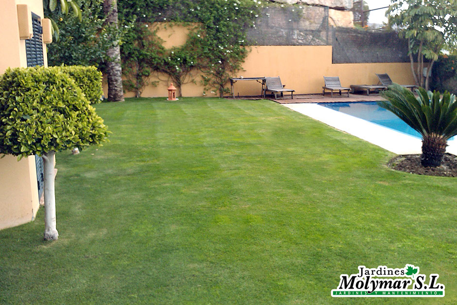 Jardín con cesped instalado