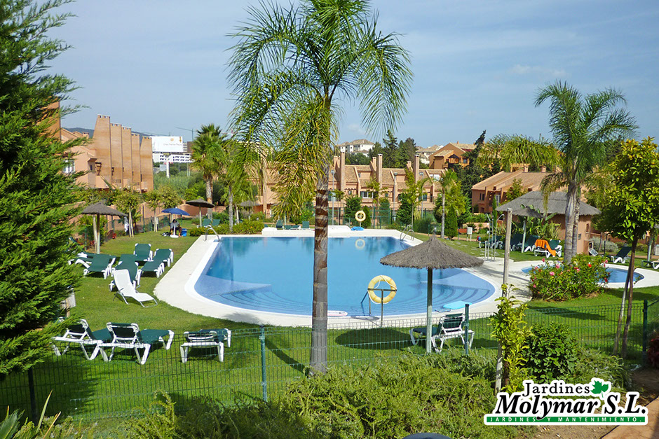 Piscina y jardín residencial